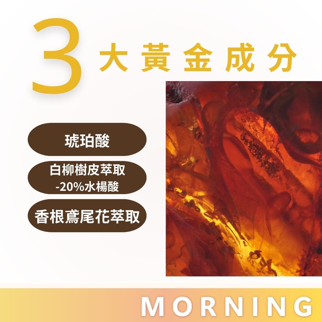 琥珀酸精華 琥珀酸精華